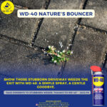 Did you know WD-40 Uses can include weed killer?