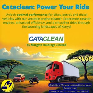 cataclean fuel systen cleaner in kenya:for petrol and diesel cars