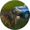 Carol Kareks profile picture