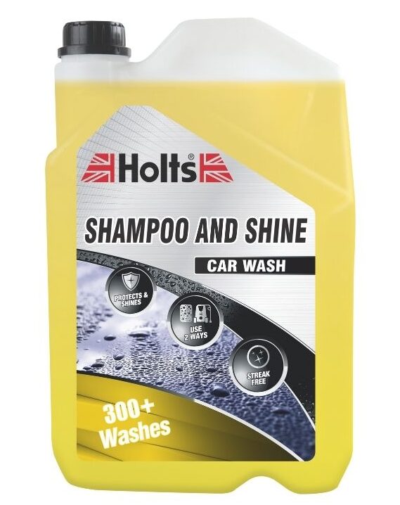 shampoo and shine